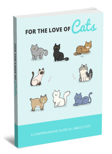 For The Love Of Cats E Book Course Point